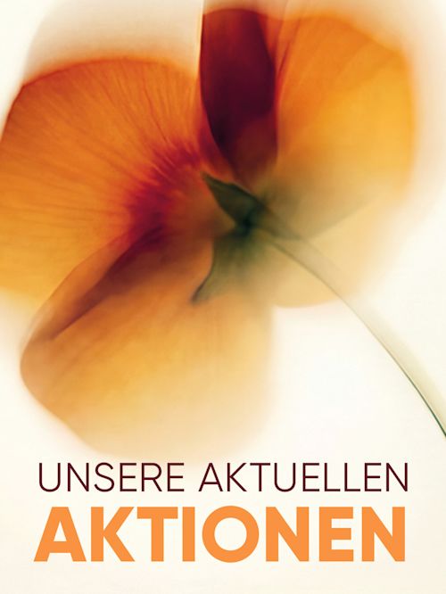 Aktionen 