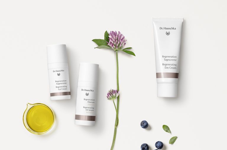 Regeneration von Dr. Hauschka