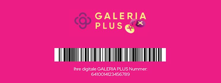 Digitale Karte NL Abbildung GALERIA Plus