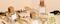 blur image