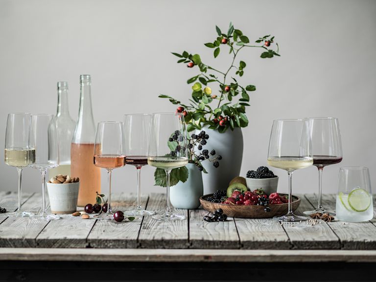 Zwiesel Glas Vivid Senses
